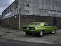 20140914Barracuda-13.jpg