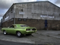 20140914Barracuda-14.jpg