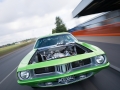 20140914Barracuda-6.jpg