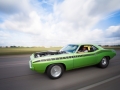 20140914Barracuda-7.jpg