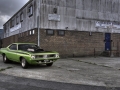 20140914Barracuda-9.jpg