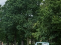105E_SCOTT-10